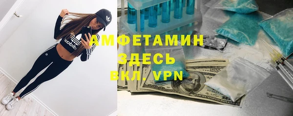твердый Лагань