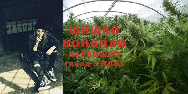 дживик Всеволожск
