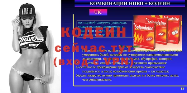 твердый Лагань