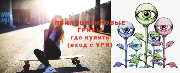 твердый Лагань